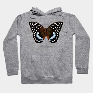 Butterfly - Archduke Butterfly, Adolias Imperator aka Lexias Satrapes or Tanaecia Calliphorus Hoodie